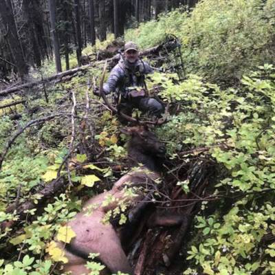 1v1 Guided Archery Elk Hunt
