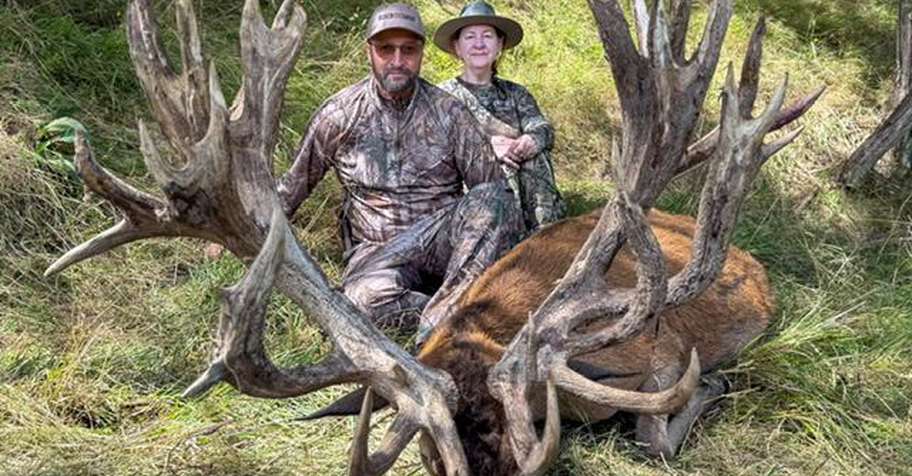 Multi Day, 450-499" SCI Red Stag Hunt