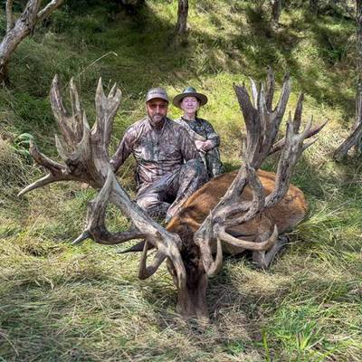 Multi Day, 450-499" SCI Red Stag Hunt