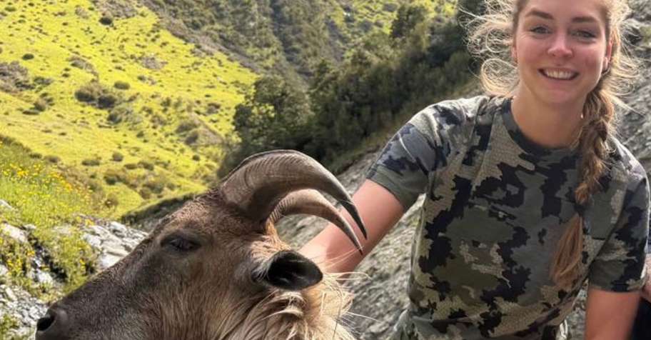 New Zealand Himalayan Tahr Hunt