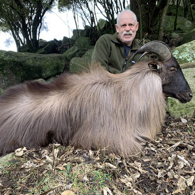 The Red Stag & Tahr Package