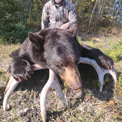 BEAR/WATERFOWL COMBO HUNT