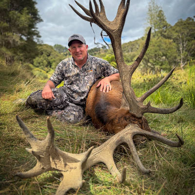 1x Day 300-349" Red Stag Hunt