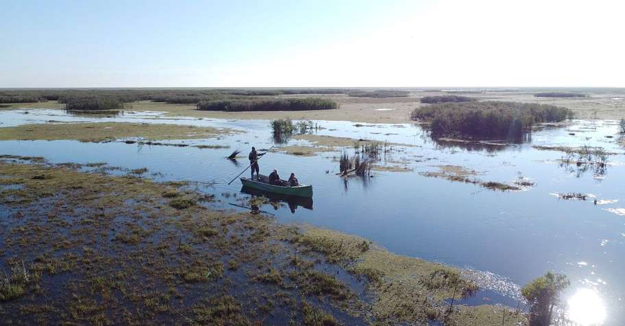 Argentina Duck hunting 2027