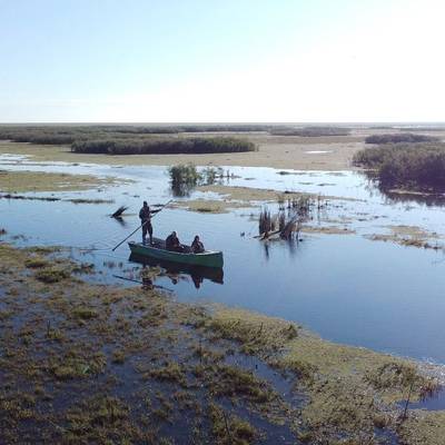 Argentina Duck hunting 2027