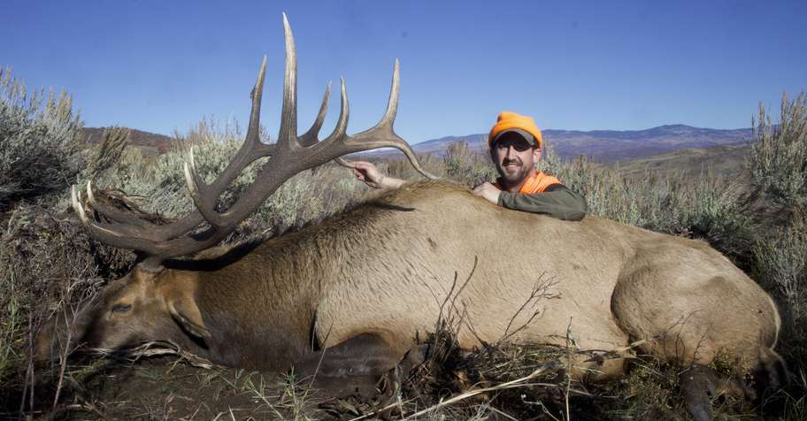 Colorado Rifle Elk Hunt