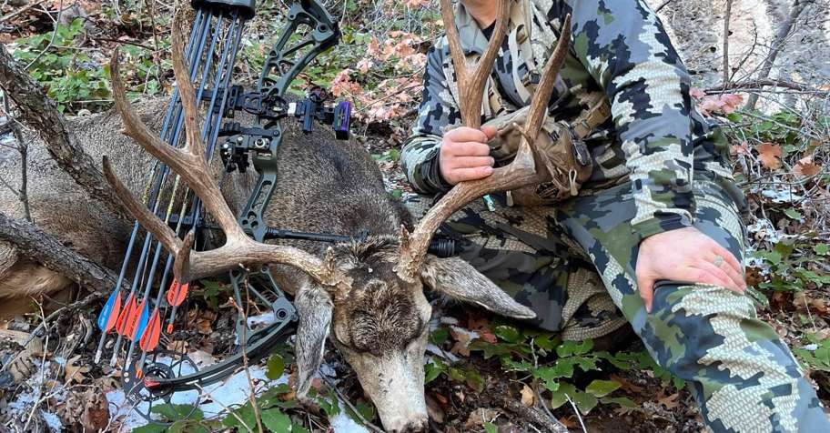 General Season Mule Deer