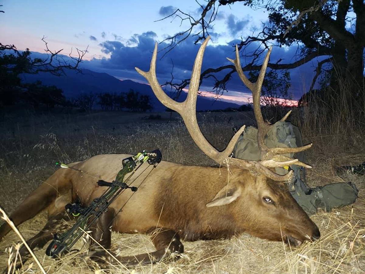 Oregon Archery Elk Hunt / Oregon, United States