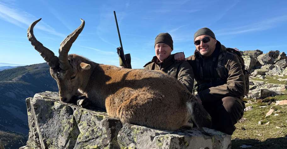 GREDOS IBEX CULL MALE - CANCELLATION