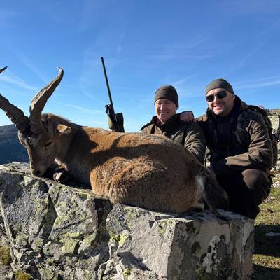 GREDOS IBEX CULL MALE - CANCELLATION