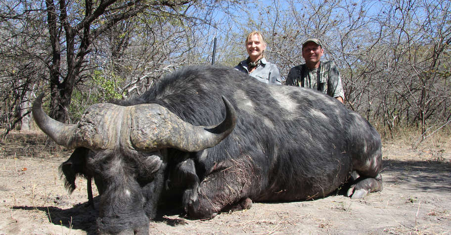 5 Day Zambia Cape Buffalo Safari Package