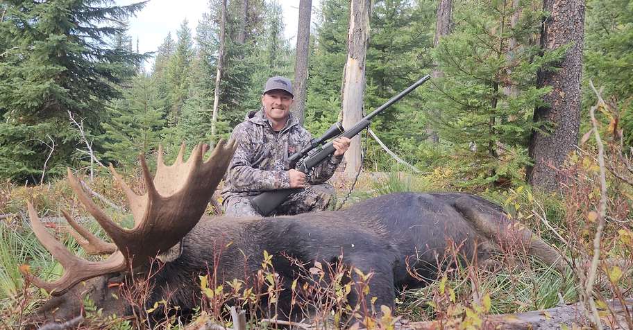 2 Week Shiras Moose Hunt
