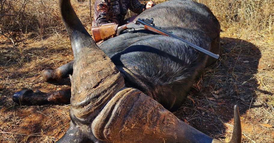 True Hunter Buffalo Safari