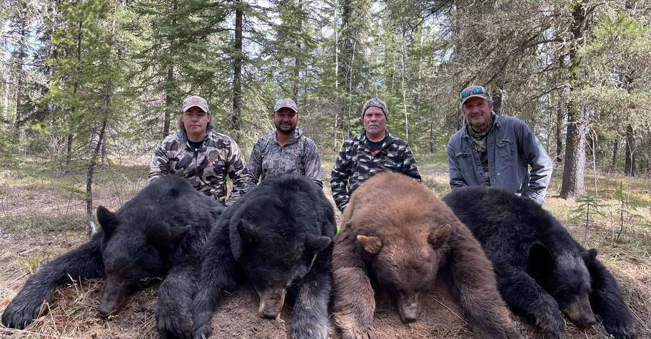 2027 Alberta Black Bear Hunt- Baited