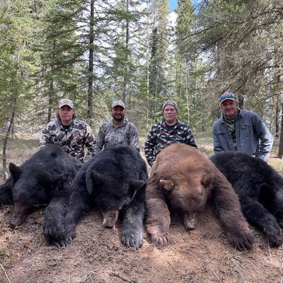2027 Alberta Black Bear Hunt- Baited