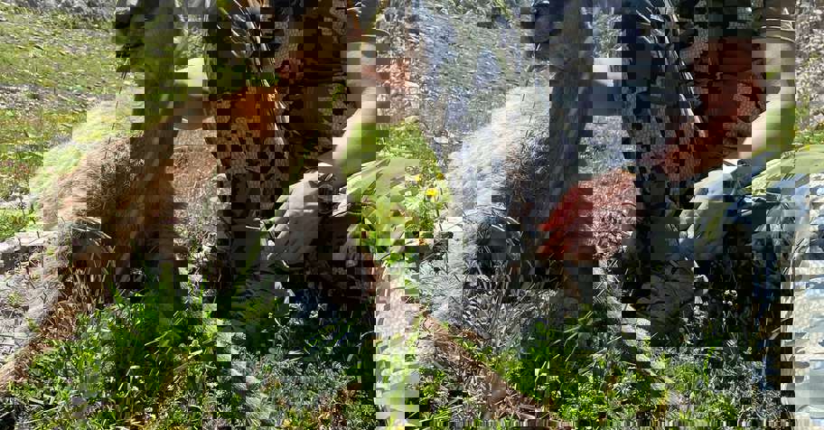 Rebeco Cantabrico Trofeo