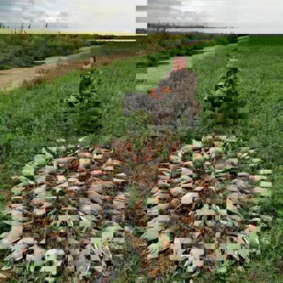 Duck Hunting in Romania