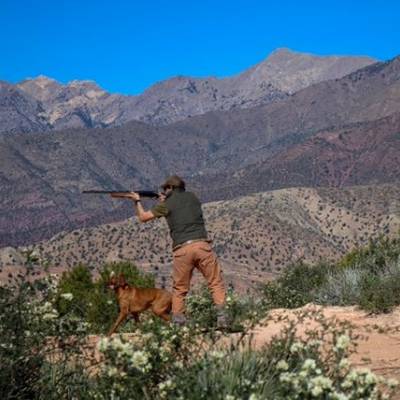 4 Days Driven Wild Boar Hunt