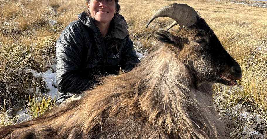 Winter Tahr & Chamois hunt