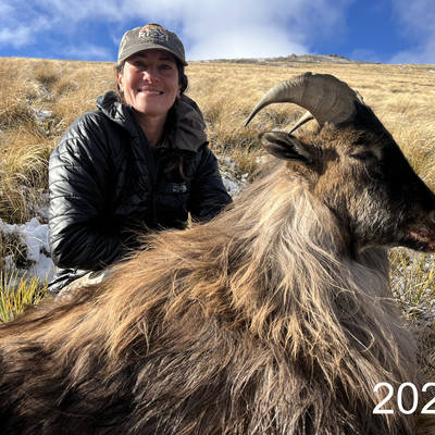 Winter Tahr & Chamois hunt