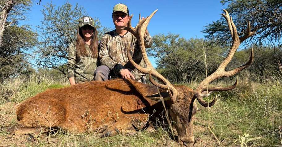 RED STAG & WATER BUFFALO UNBEATABLE