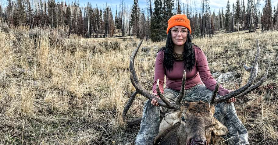 2 PPL Bull Elk and/or Mule Deer