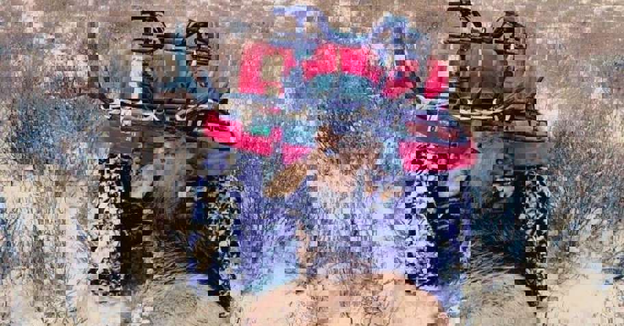 2 PPL Bull Elk on Ranch & Public Lands