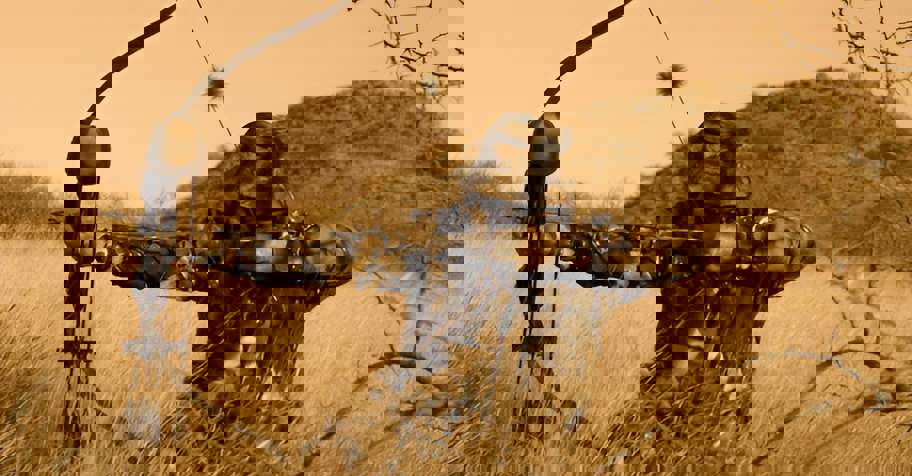 Small Game Bowhunter last 2025 Package