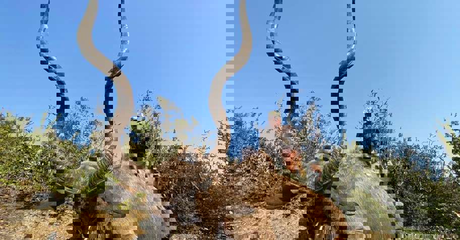 Ready to Pull the Trigger on Africa!