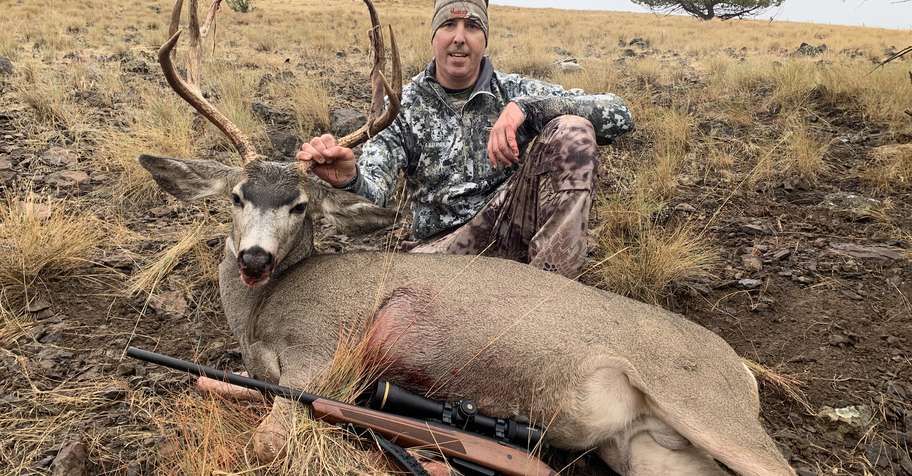 Mule Deer - Rifle