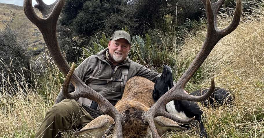 Free range hunting Red Stag or Fallow