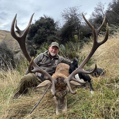Free range hunting Red Stag or Fallow