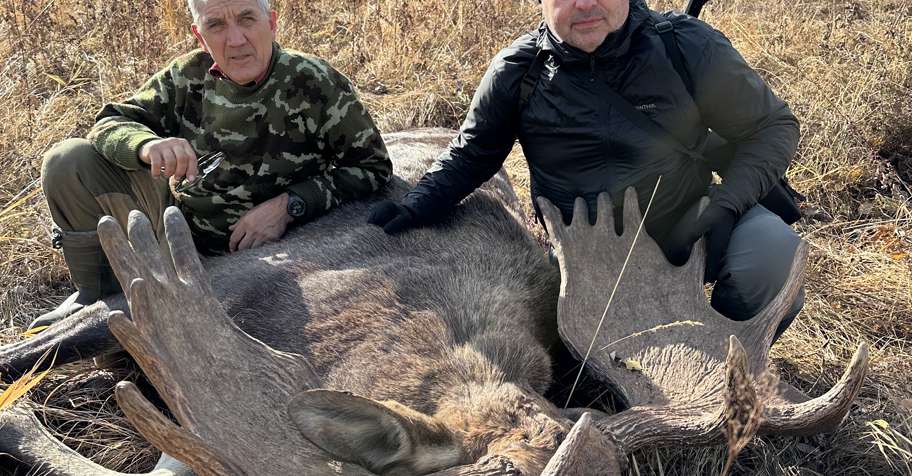 Охота Лось на реву