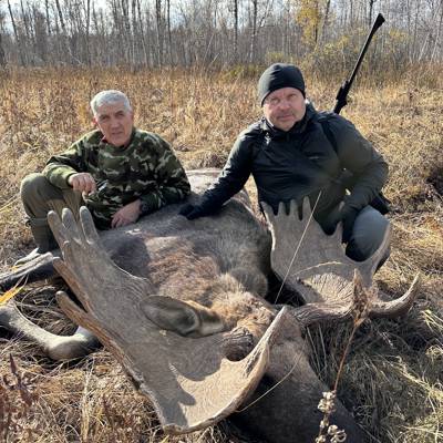 Охота Лось на реву