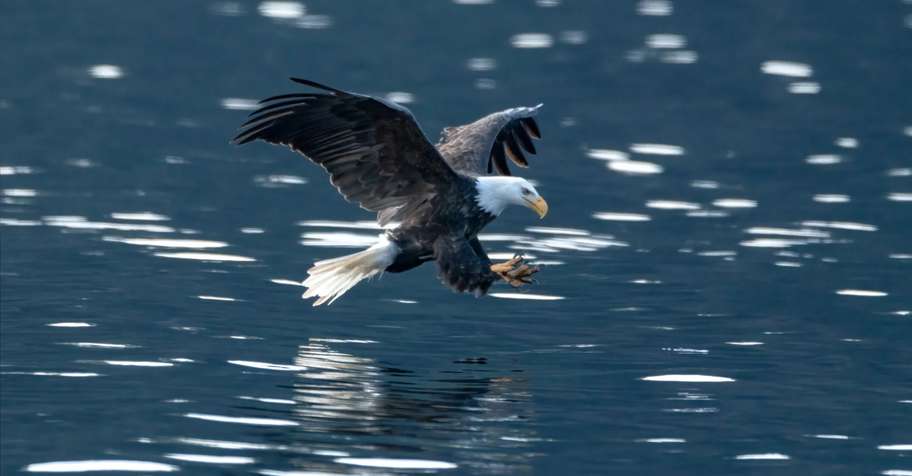 Coastal Self Guided- 7 Nights/5 Guests