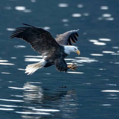 Coastal Self Guided- 7 Nights/5 Guests