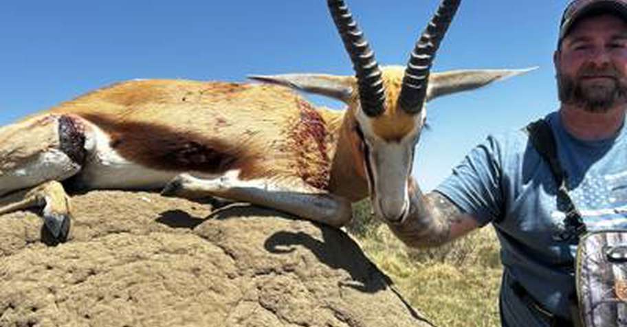 Springbuck Slam Package