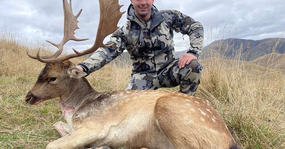 The Red Stag & Fallow Package