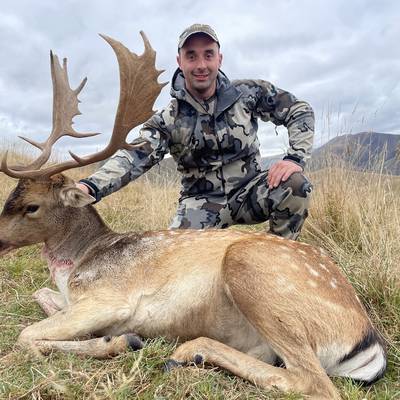 The Red Stag & Fallow Package