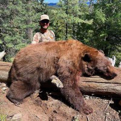 Beat the Heat Special- AZ Archery Bear