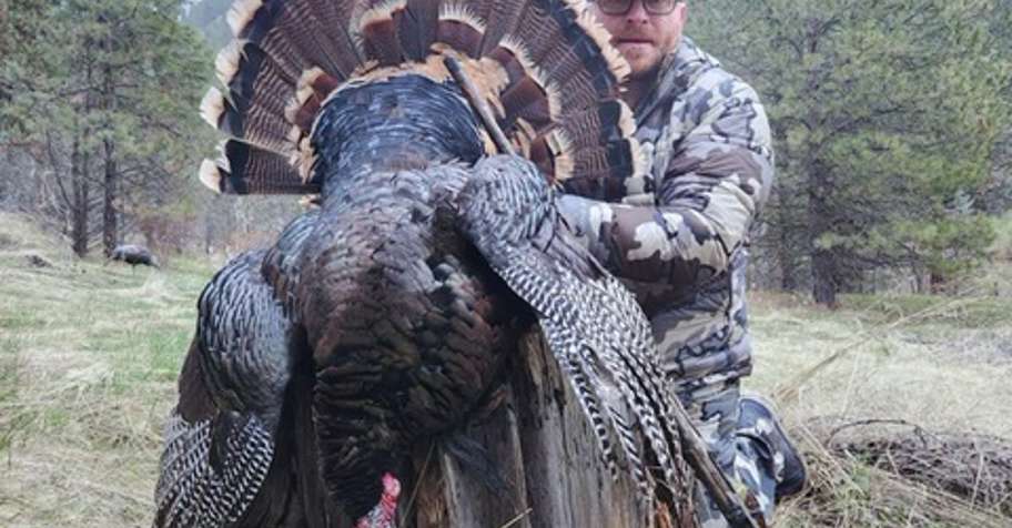 Spring Turkey Hunting Two Days/2v1 '26