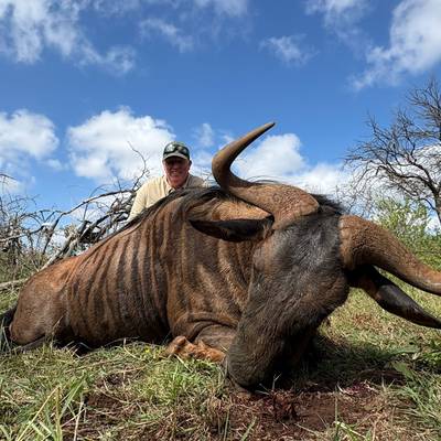 Best value safari package 2026/2027