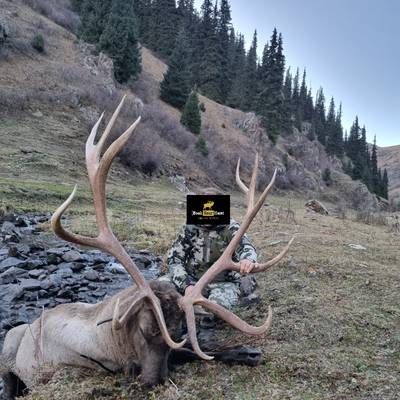 Maral & Ibex 9 days hunt