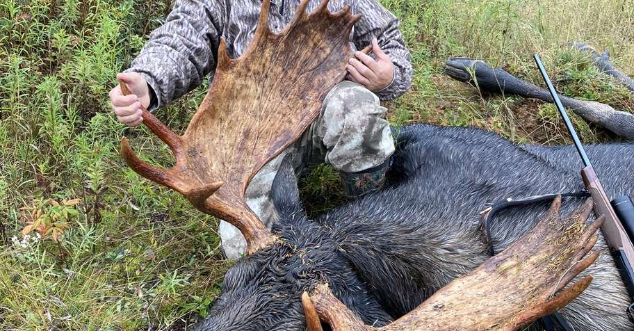 Moose Hunt Newfoundland 2027