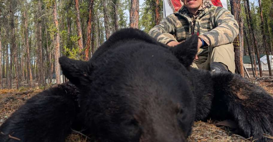 Northern Alberta Bear Hunt '2027