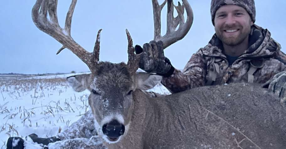 White-Tailed Deer 2:1 2026