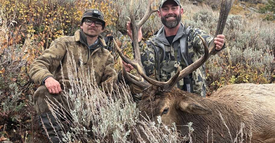 Fully Guided Rifle Elk Hunt