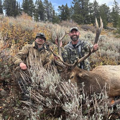 Fully Guided Rifle Elk Hunt