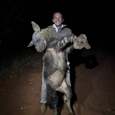 7 Day Brown Hyena - Limited Dates