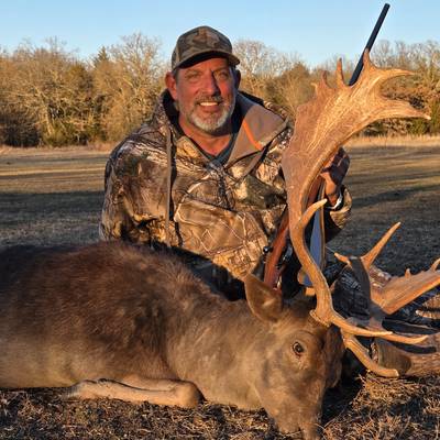 Fallow Buck,  lodging, meals